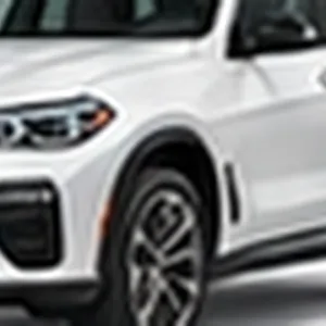Lujo · BMW X5 o similar